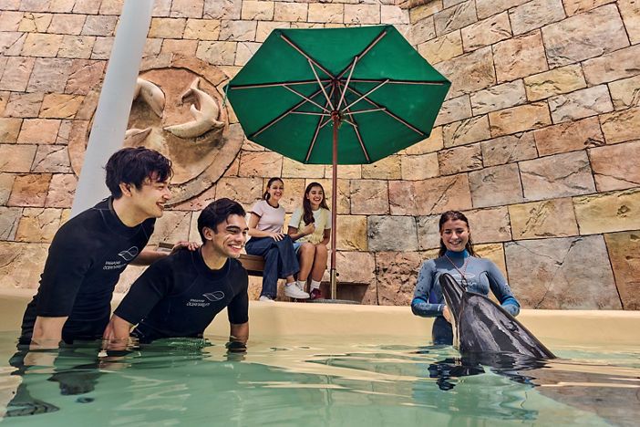 Dolphin Observer + Oceanarium - Fixed Date / Time