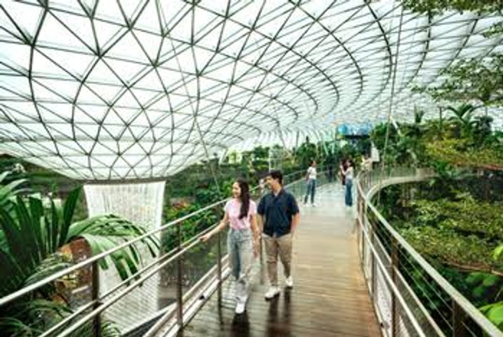 Canopy Park