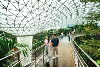 Canopy Park