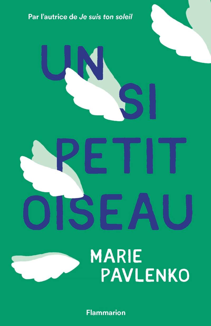 Couverture de Un si petit oiseau