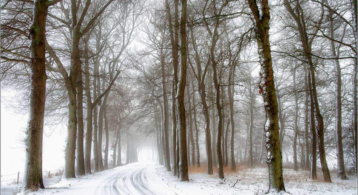 Do I Have Seasonal Affective Disorder Symptoms?