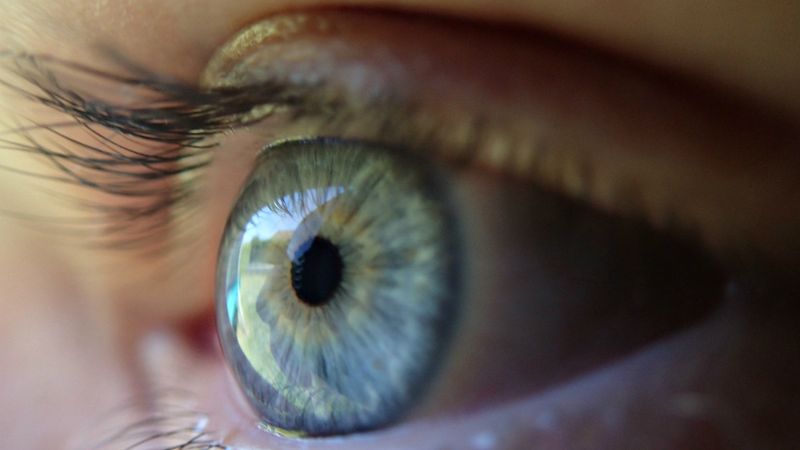 Northwestern University Study Unlocks a Secret To Boost Office Worker’s Health