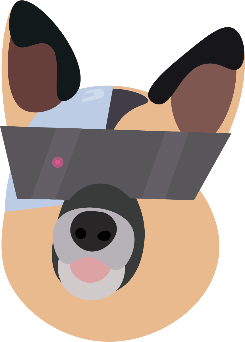 Dogg.io: Geospatial Dog Walking App