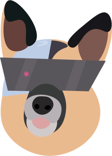 Dogg.io: Geospatial Dog Walking App