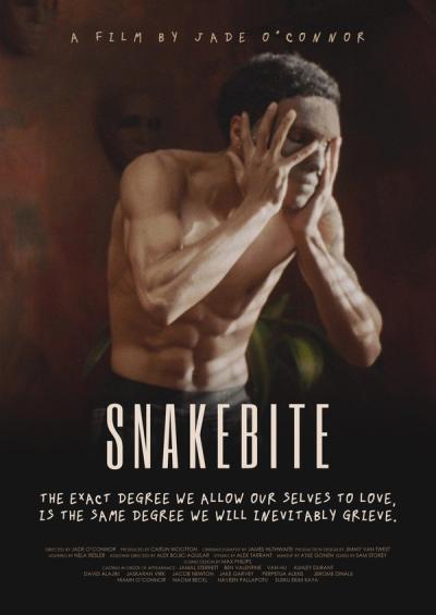 Snakebite