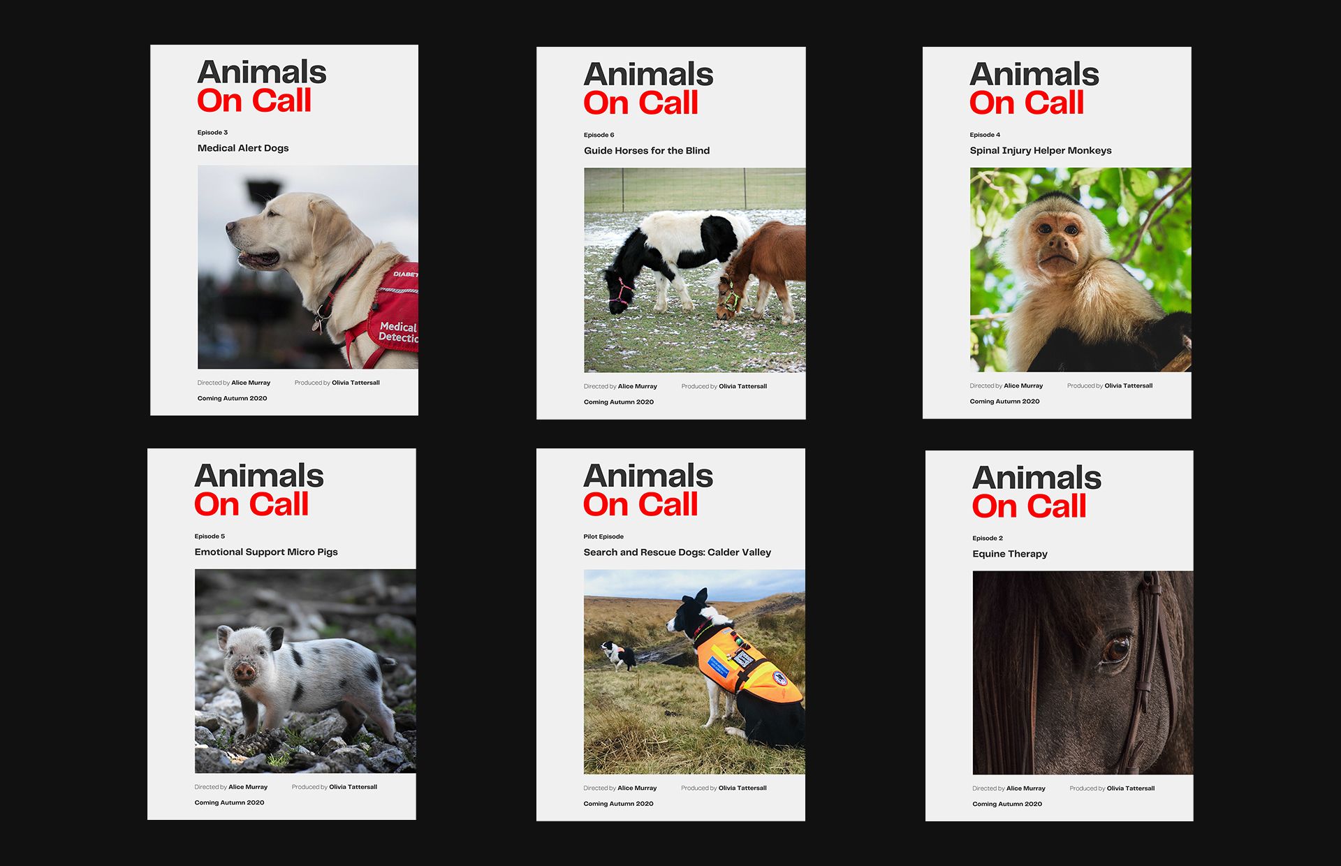 Animals On Call