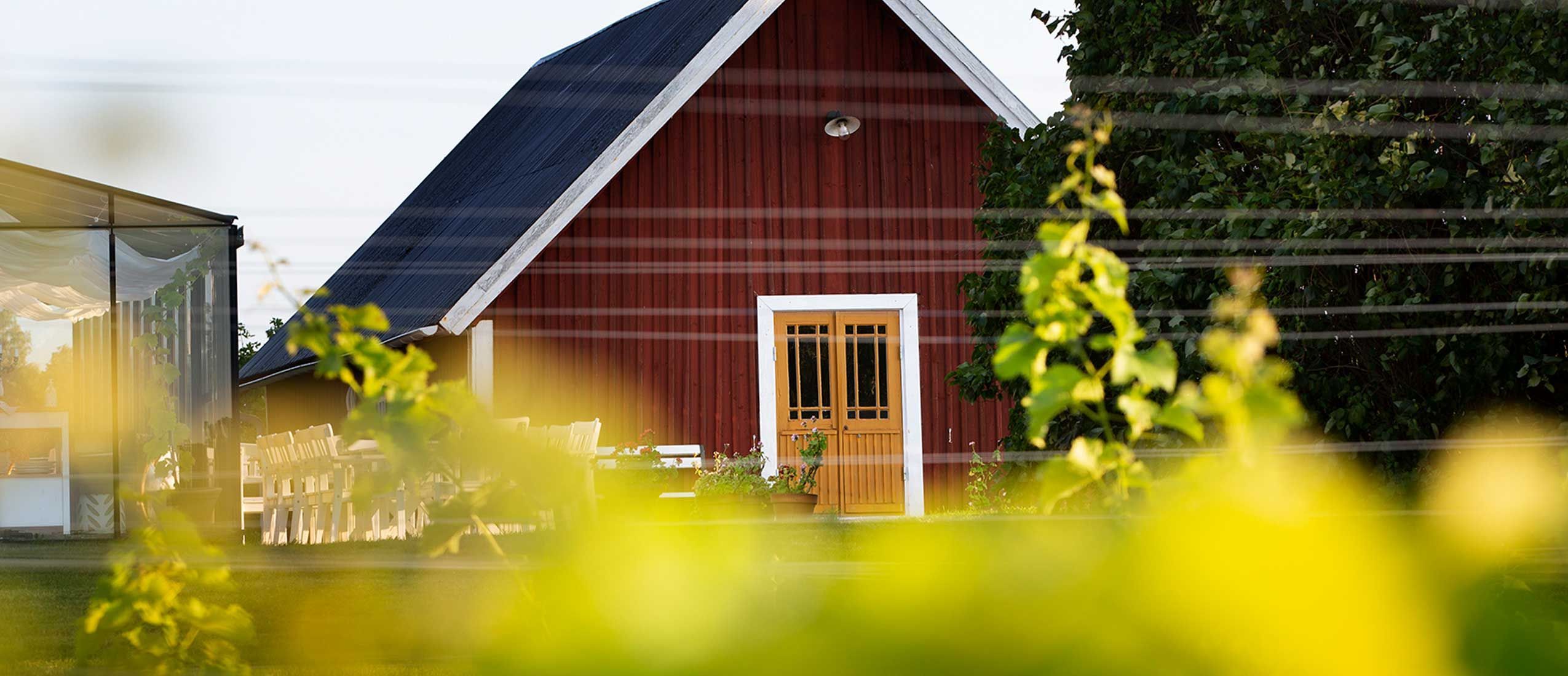 Särtshöga Vingård