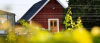 Särtshöga Vingård