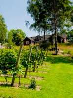 Vittsjö Vingård