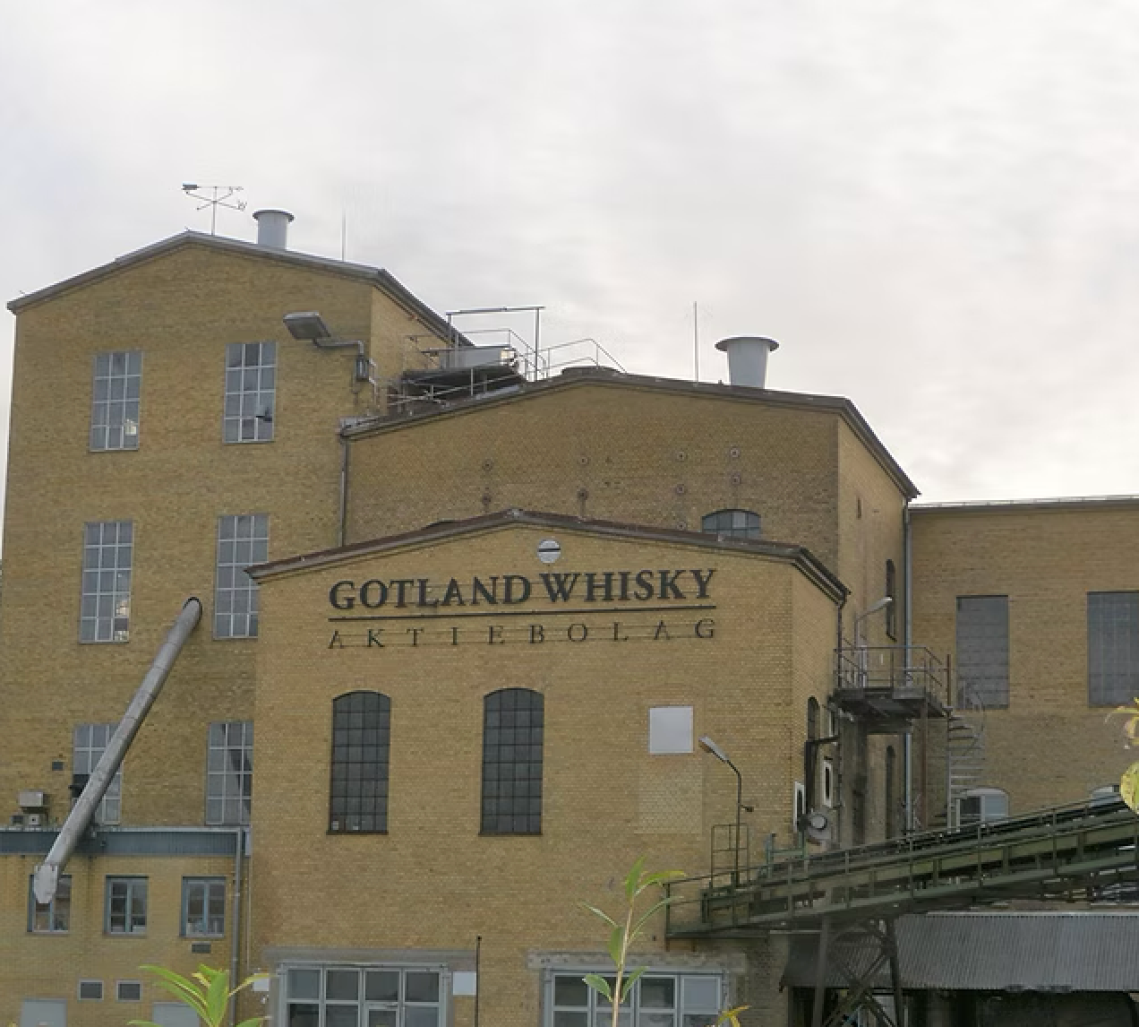 Gotland whisky