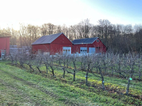 Reuterdahls Österlen