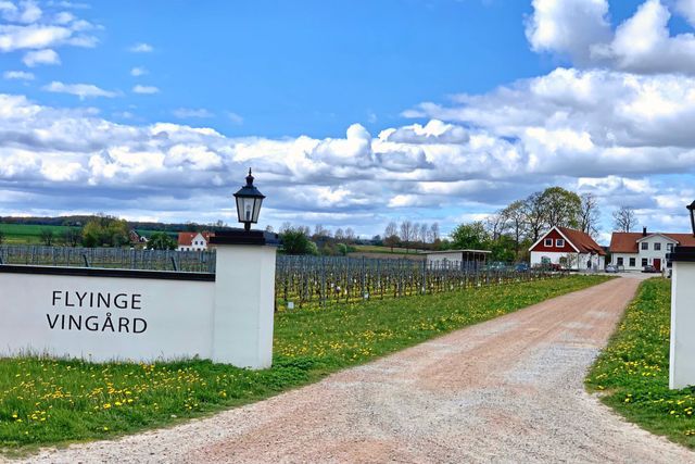 Flyinge Vin 1882