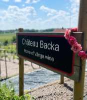 Chateau Backa