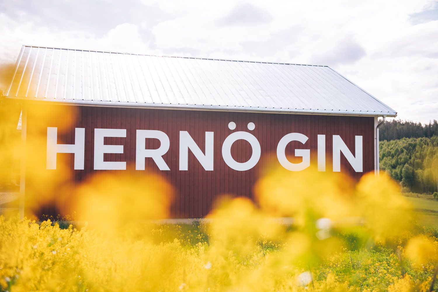 Hernö Gin