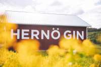 Hernö Gin