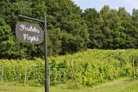 Fredholms Vin
