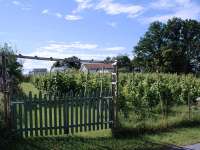 Vistakulle Vingård