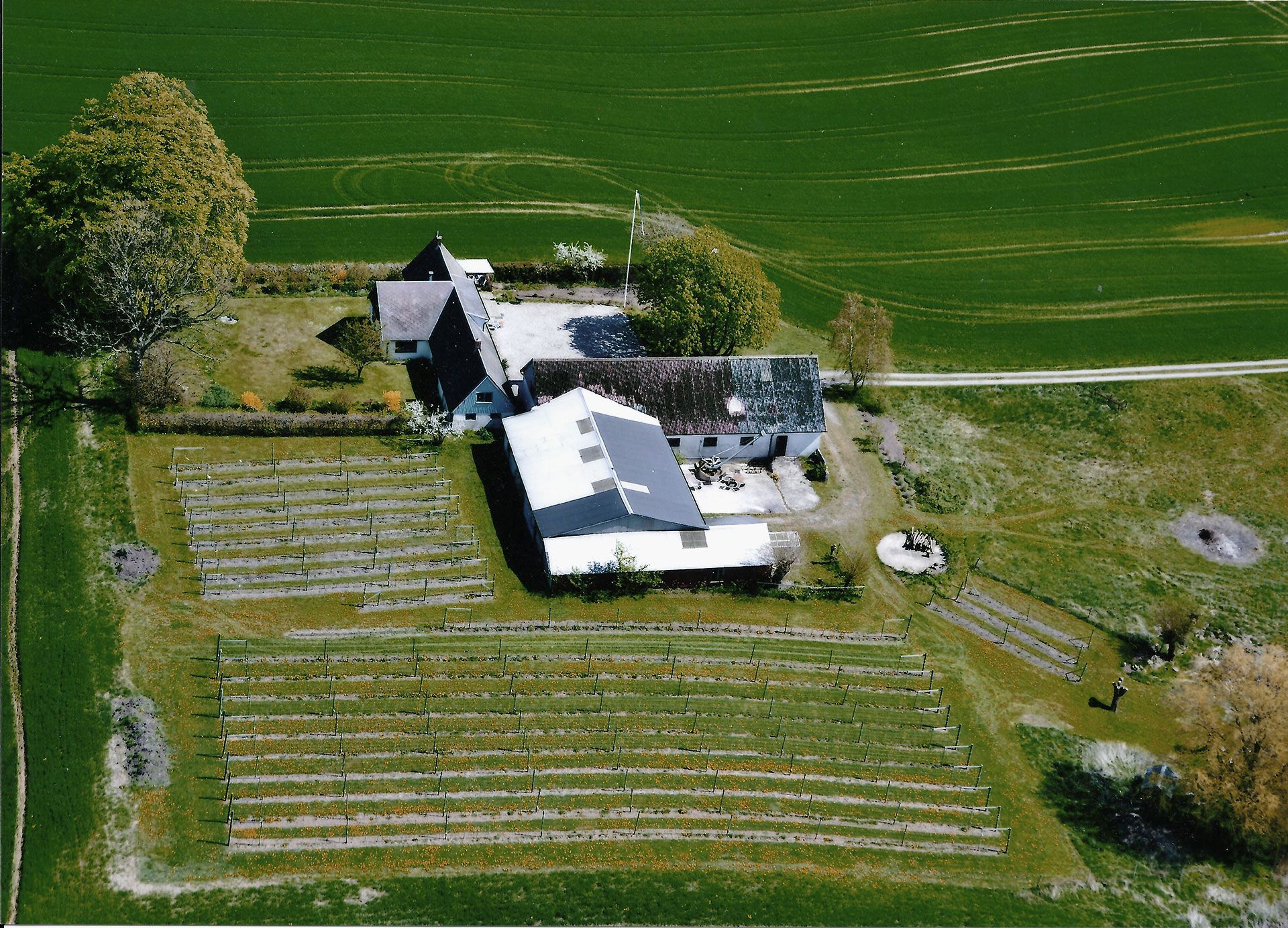 Snårestad Vingård