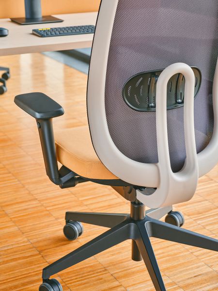 Detail ergonomickej kancelárskej stoličky Ollie so sieťovaným operadlom a nastaviteľnou bedrovou opierkou v kancelárii