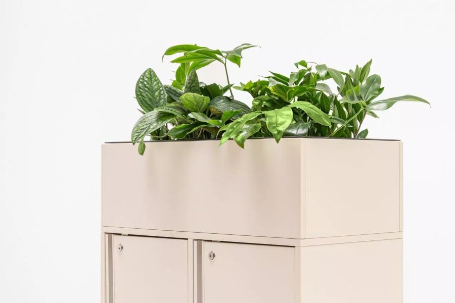 Locker Plus – kvetináče pre skrinky z rady locker – obrázok 2