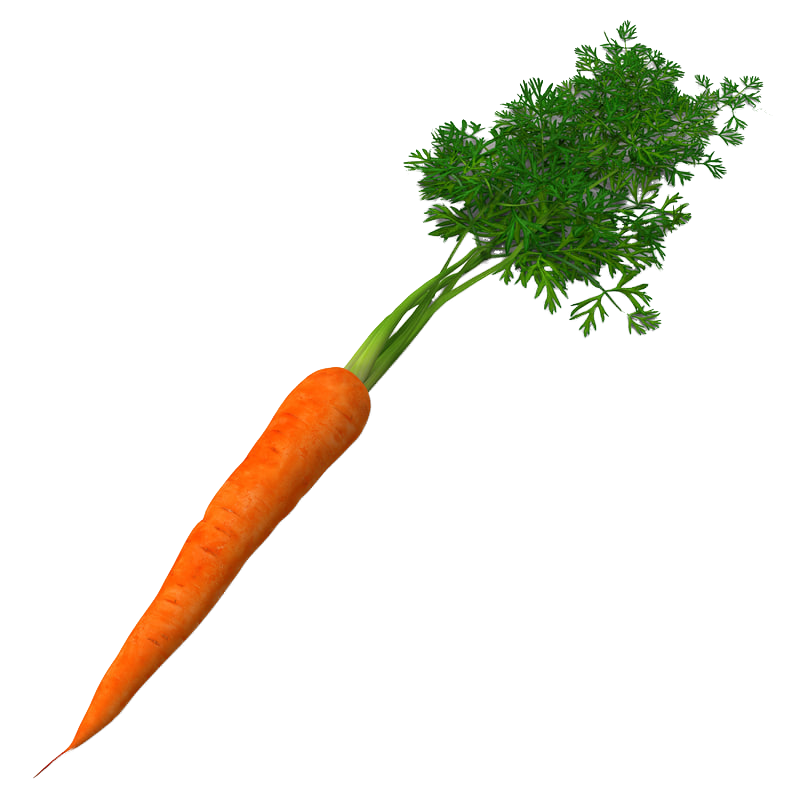 Picture of a carrot