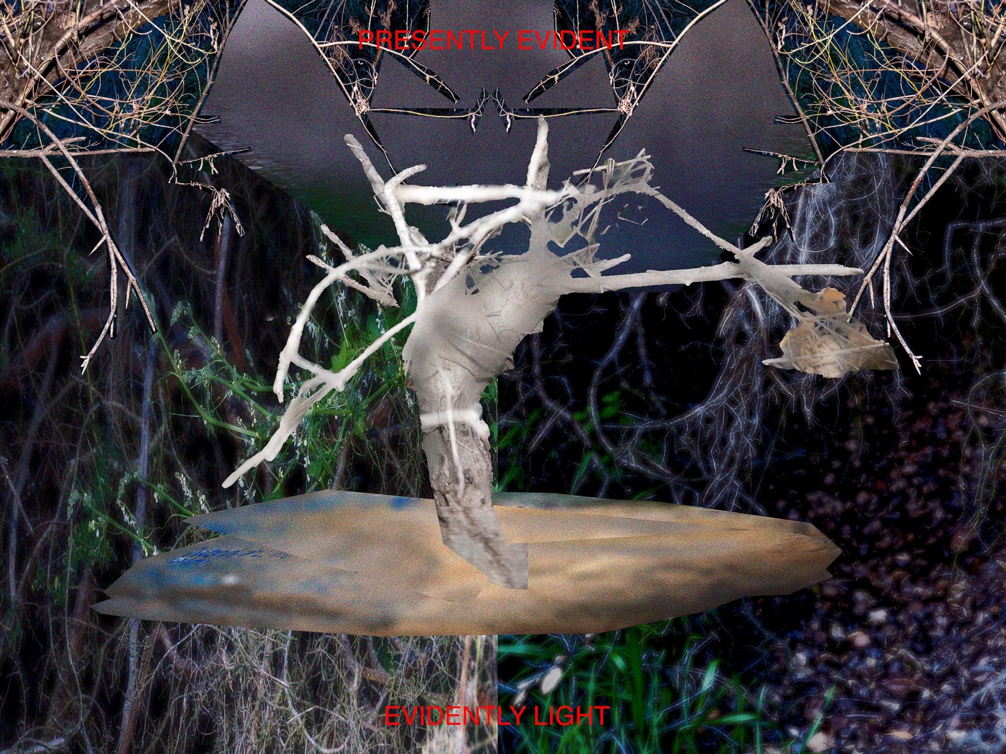 Creation Myth