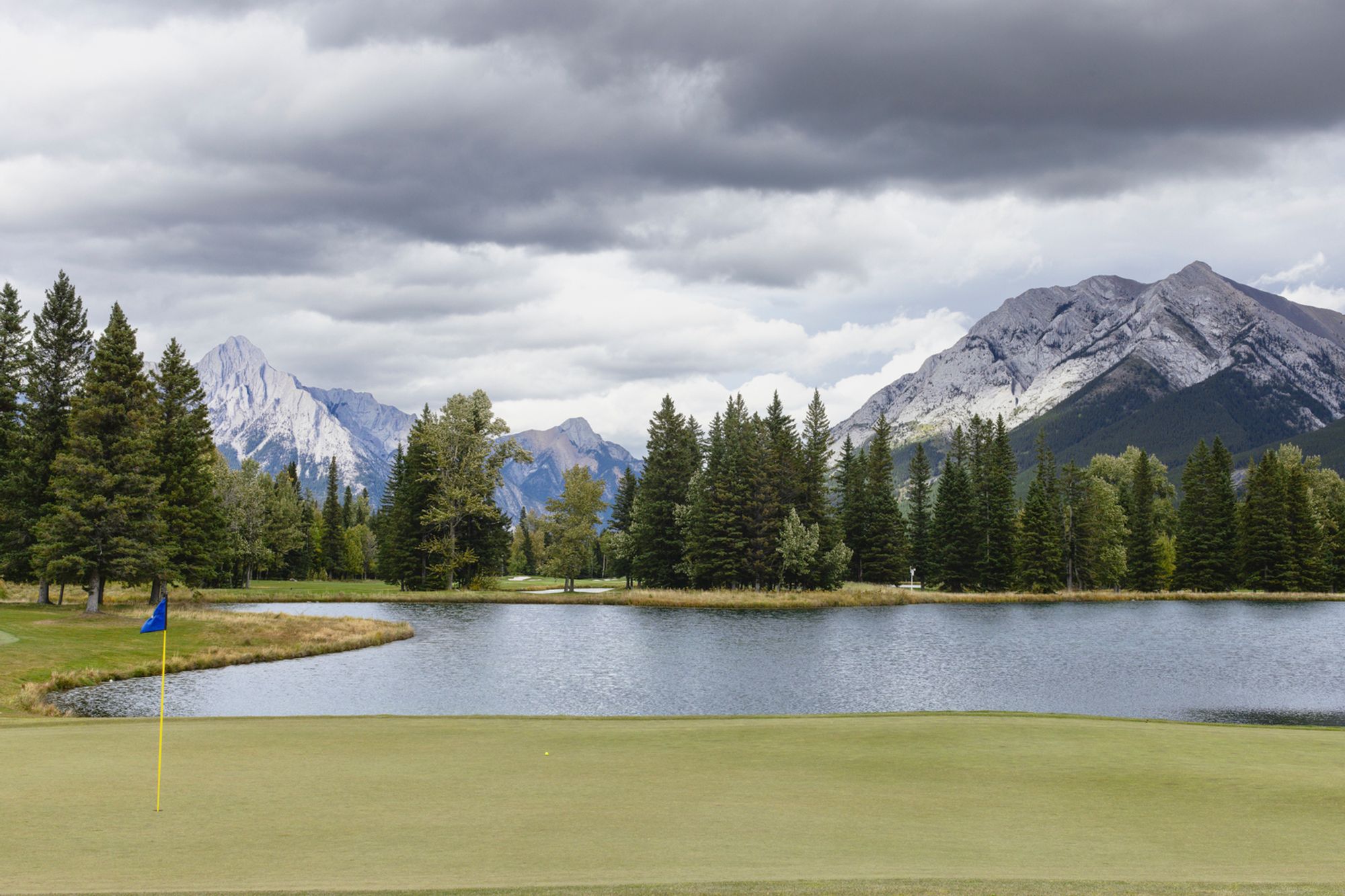 Alberta (931A6550)
