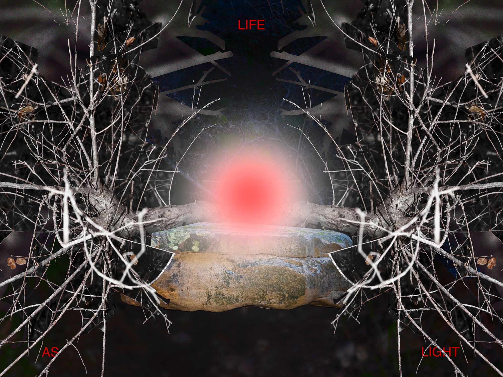 Creation Myth
