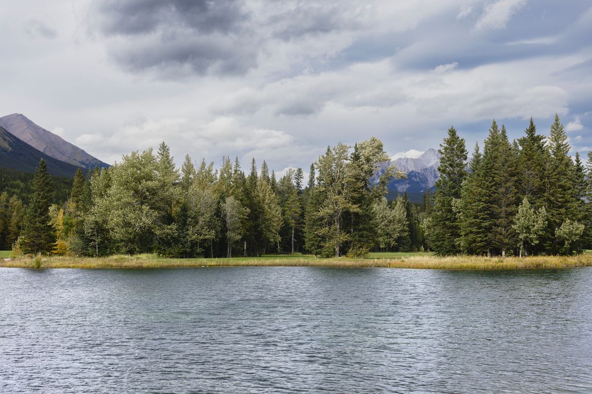 Alberta (931A6236)