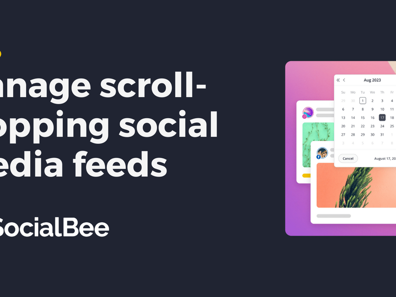 SocialBee cover image