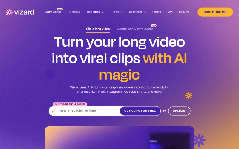 Vizard cover image