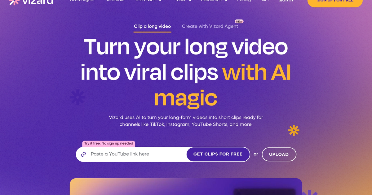 Vizard
