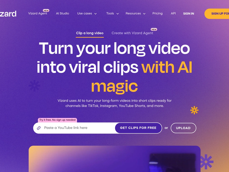Vizard cover image