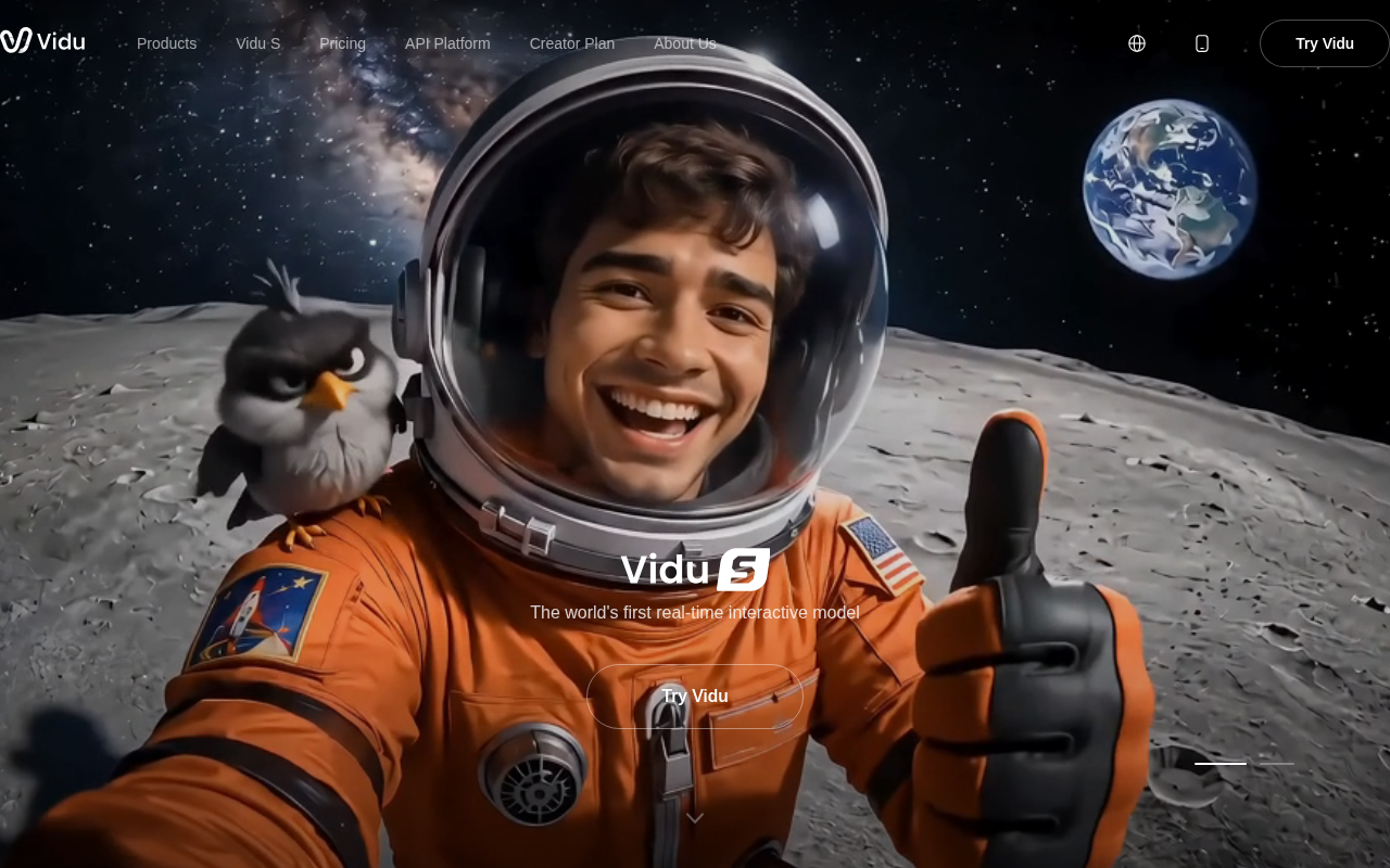 Vidu cover image