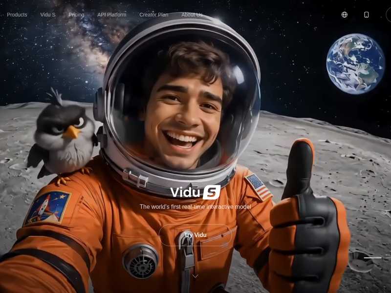 Vidu cover image