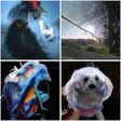Artbreeder thumb