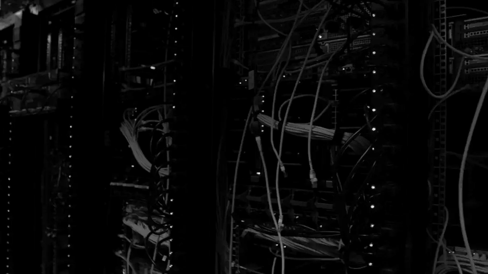 Bundled network cables in a data centre