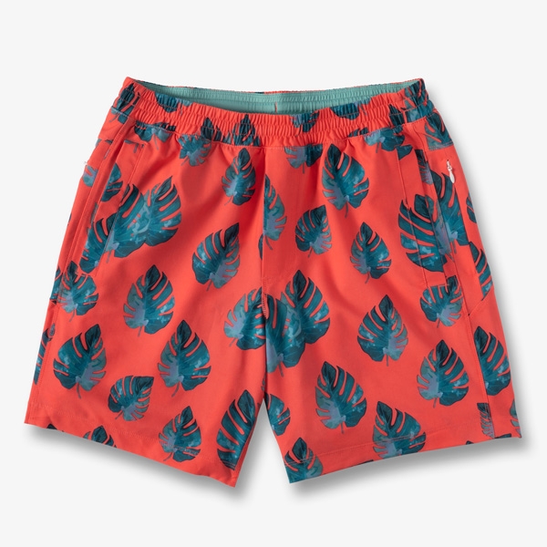 birddogs-mens-shorts-rare-fast-and-bicurious-palm