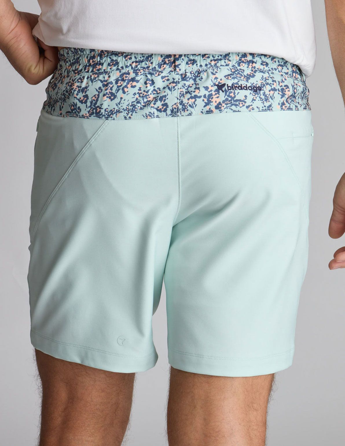New Arrivals | birddogs