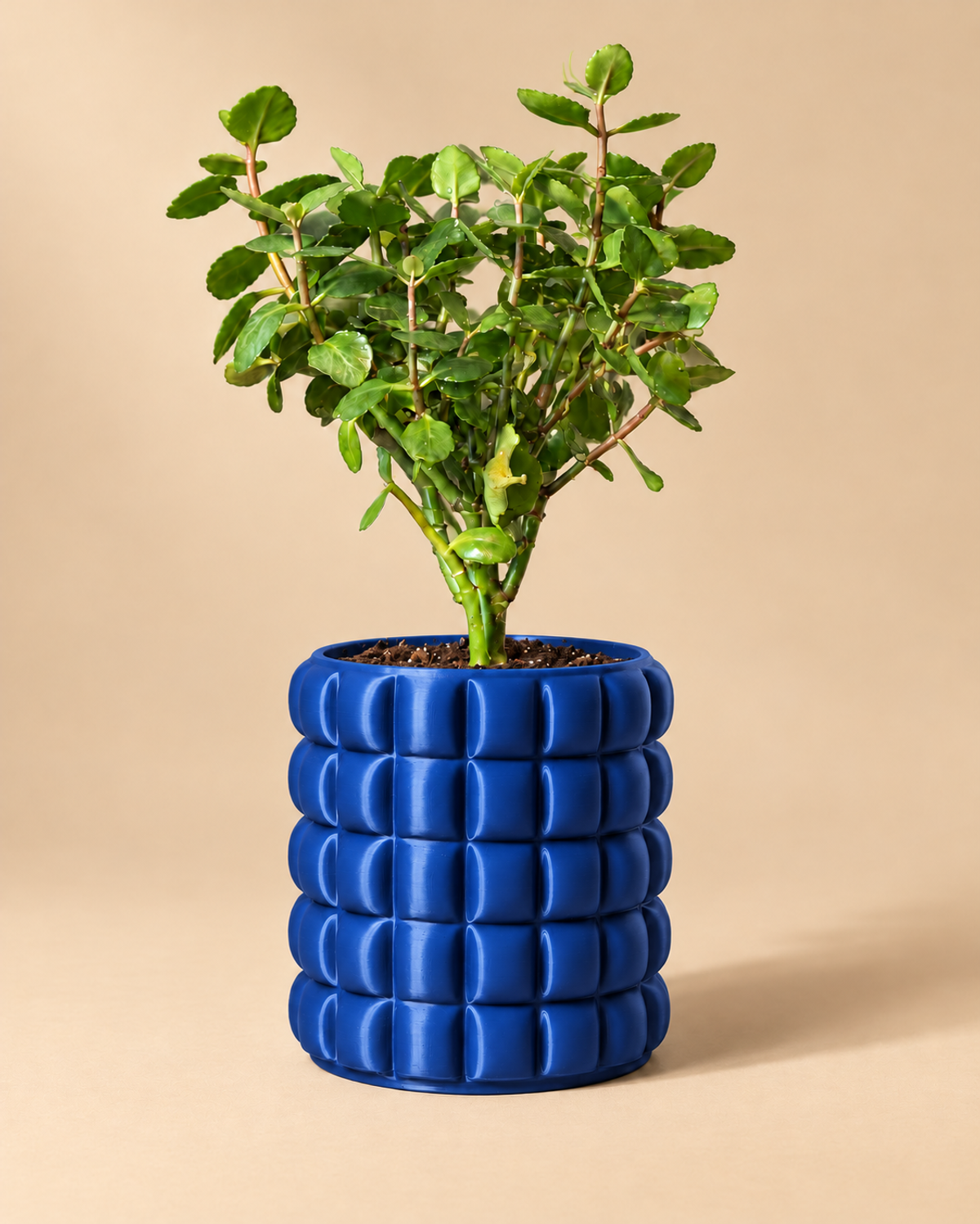 Cachepô Gomos na cor Azul