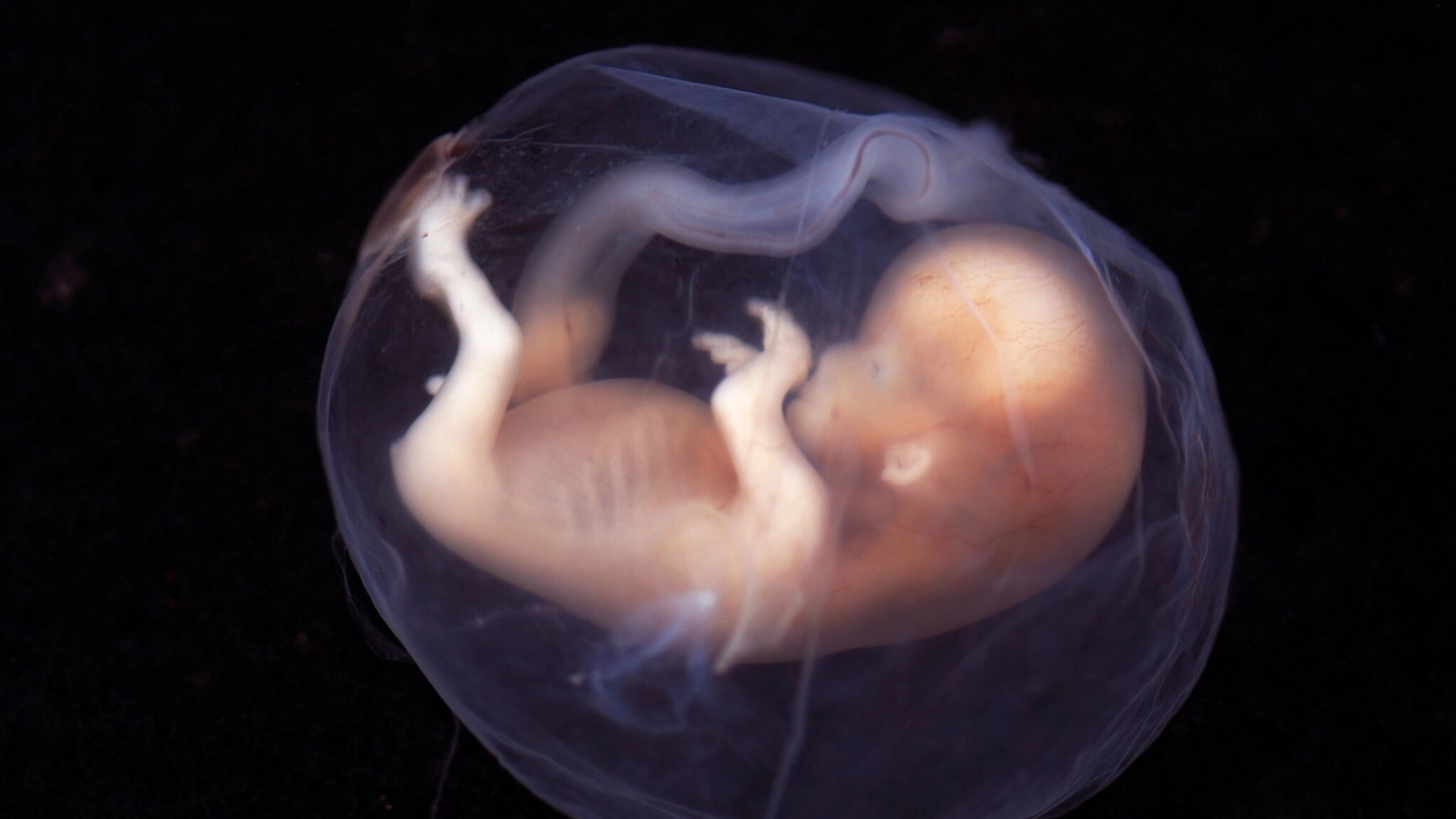 Søndagsteksten Luk 1:39-45 (2022)