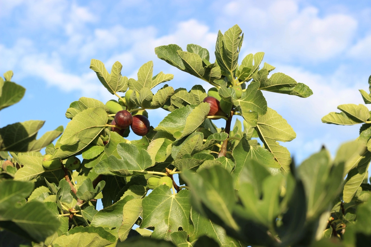 Så viktig er det å vende om i tide