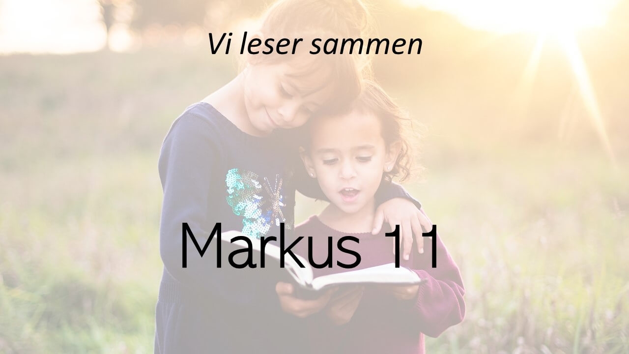Markus 11
