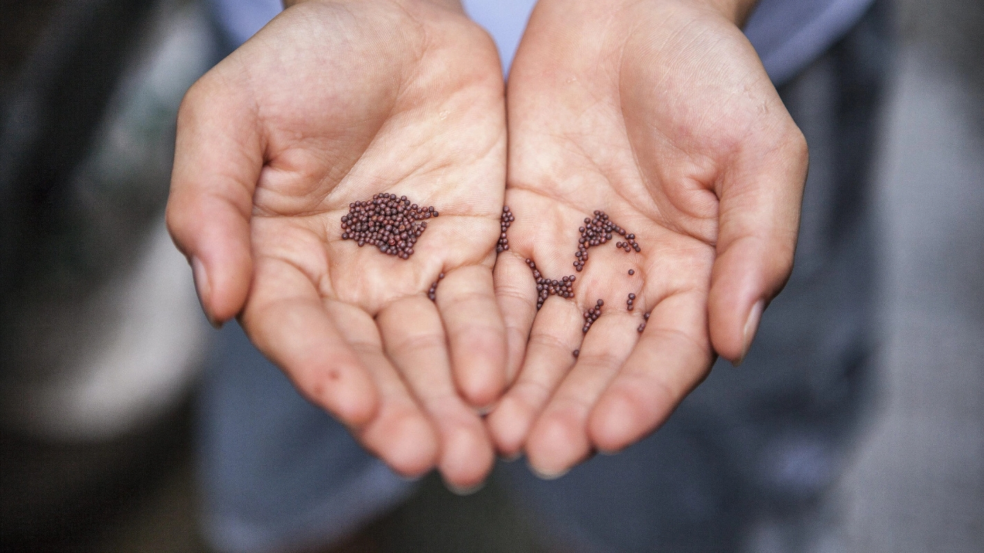 Søndagsteksten Luk 13:18-21 (2021)