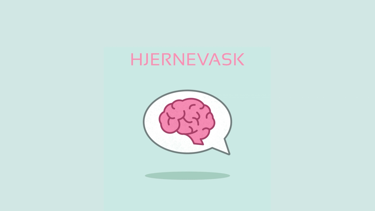 Hjernevask 2/2