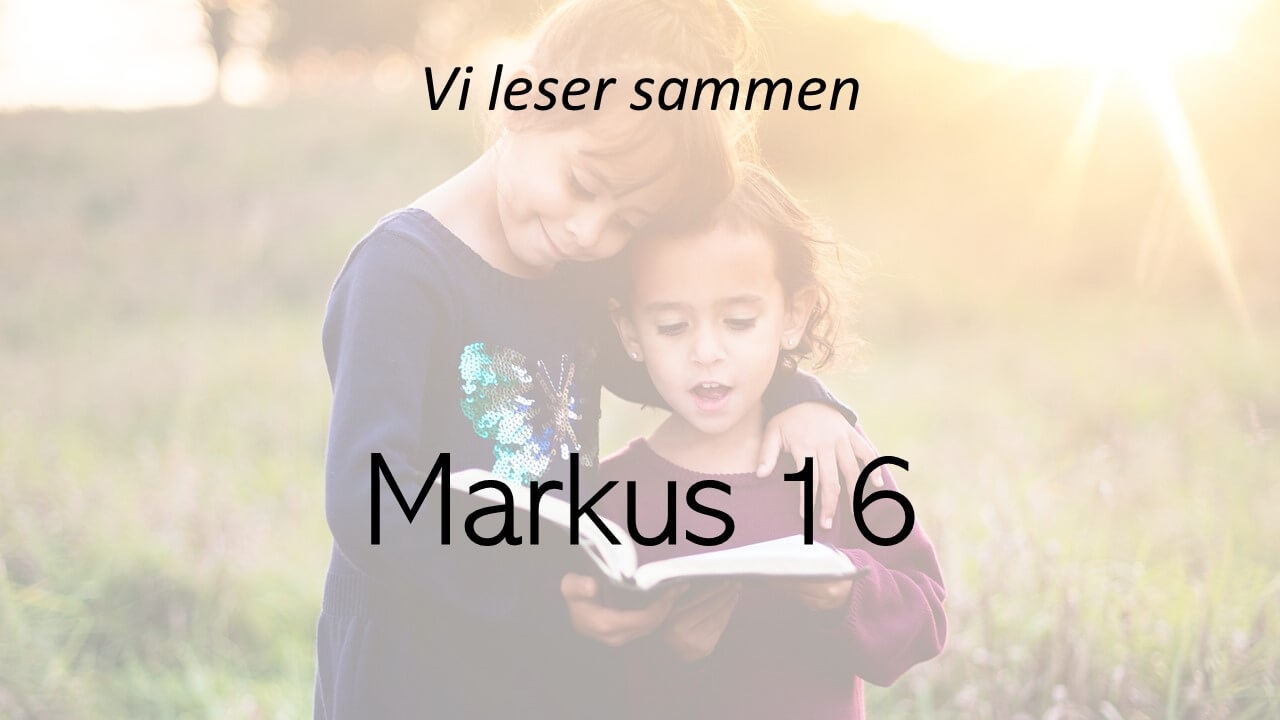 Markus 16