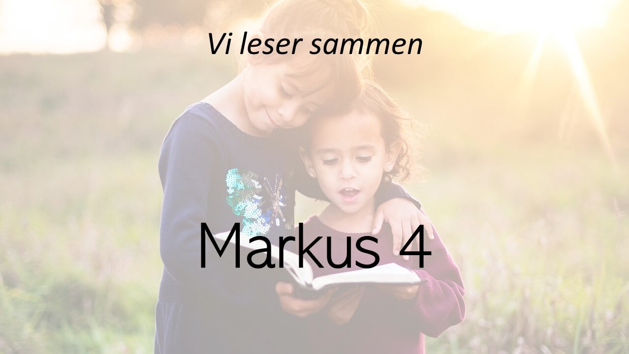 Markus 4