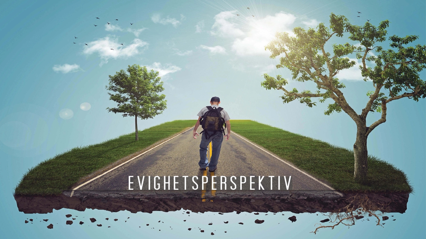 Evighetsperspektiv