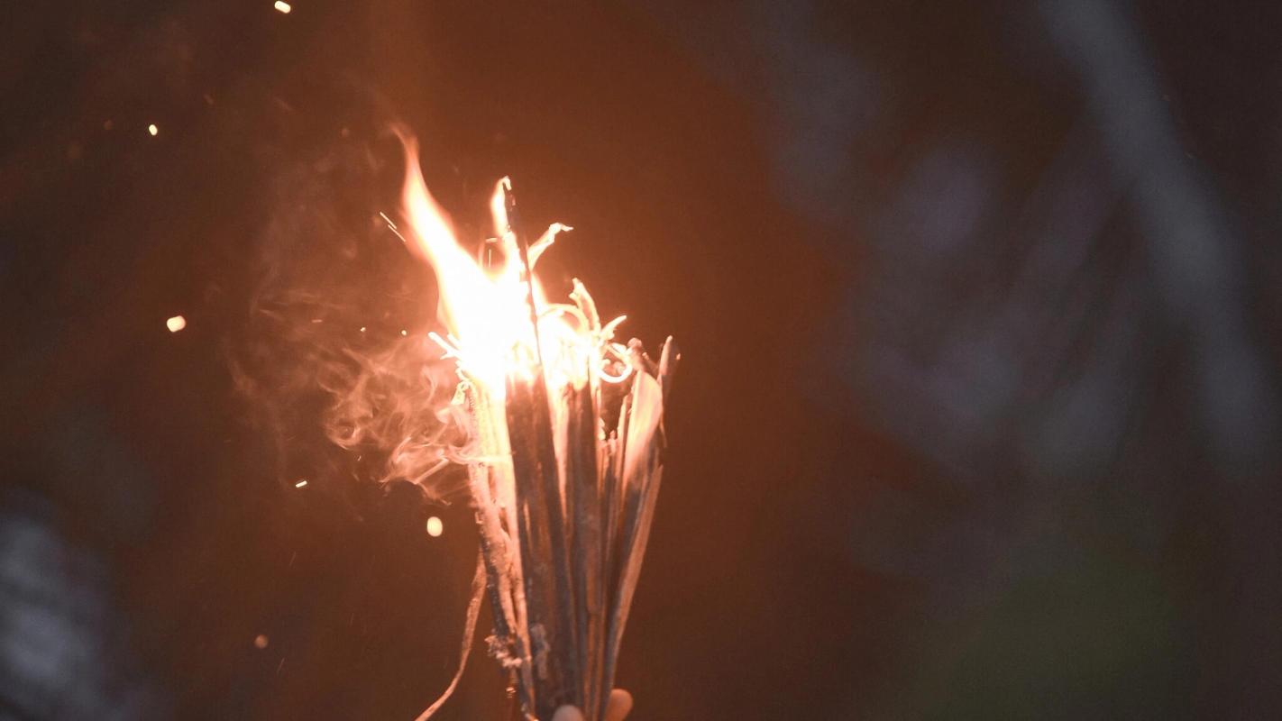 Profeten Amos, Josef Birgersson