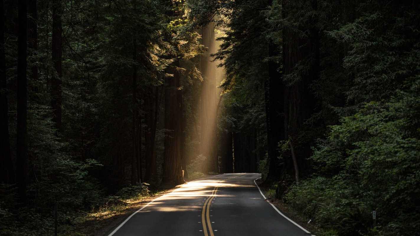 16 ting du bør vite om Den Hellige Ånd